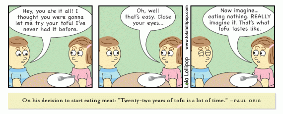 what-does-tofu-taste-like-soy-food-comics-233